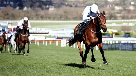 uk horse racing results bbc
